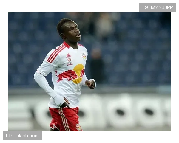 奥地利红牛青训体系持续升级，被誉为未来足球巨星的摇篮